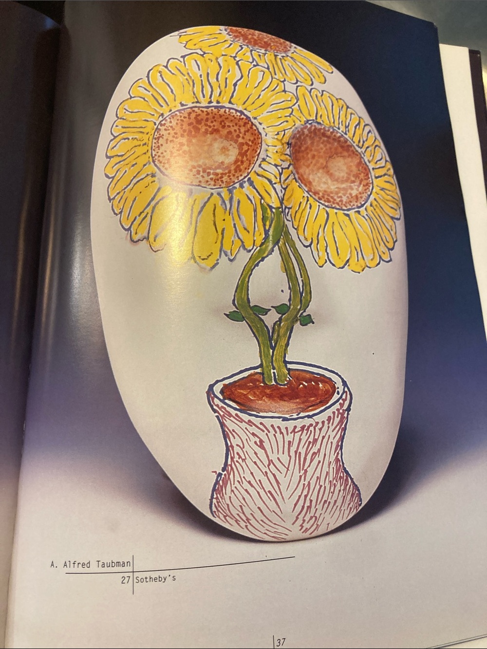 Coffee Table Book - Picture 13 of 17